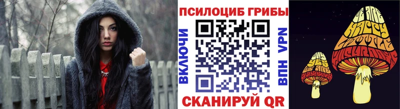 как найти наркотики  Трёхгорный  Псилоцибиновые грибы GOLDEN TEACHER 