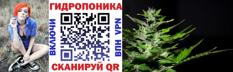 Марихуана OG Kush  дарк нет какой сайт  Трёхгорный 